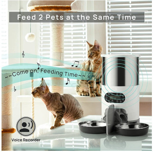 Double Meal Feeder Double Meal Tray Stainless Steel Feeder Automatic Feeder Pet Feeder